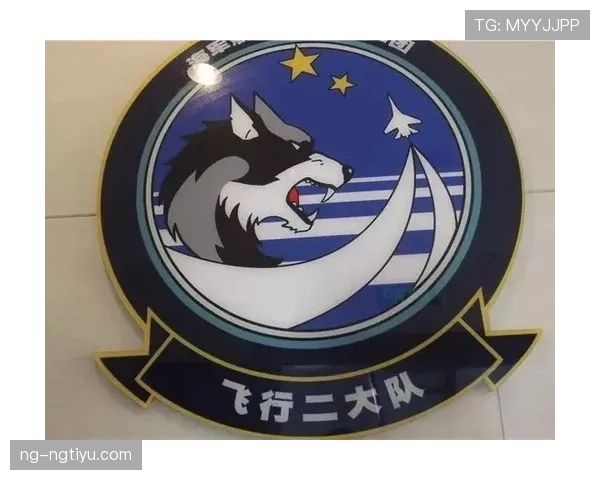 全面解析空中对抗判罚的规则与判定标准